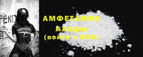 сатива Аркадак