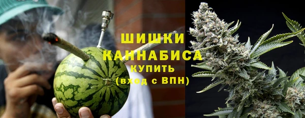 сатива Аркадак