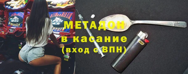 сатива Аркадак