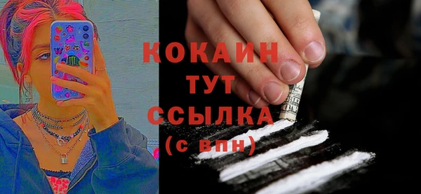сатива Аркадак