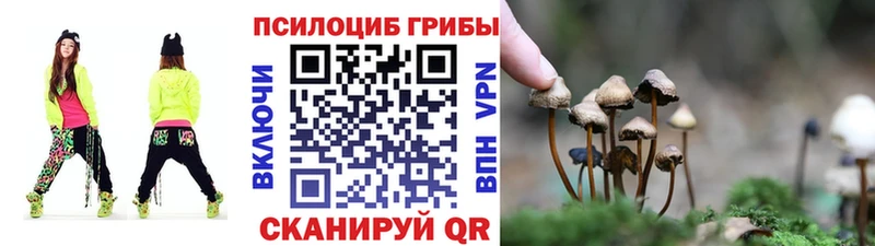 наркошоп  Орехово-Зуево  Псилоцибиновые грибы Psilocybine cubensis 